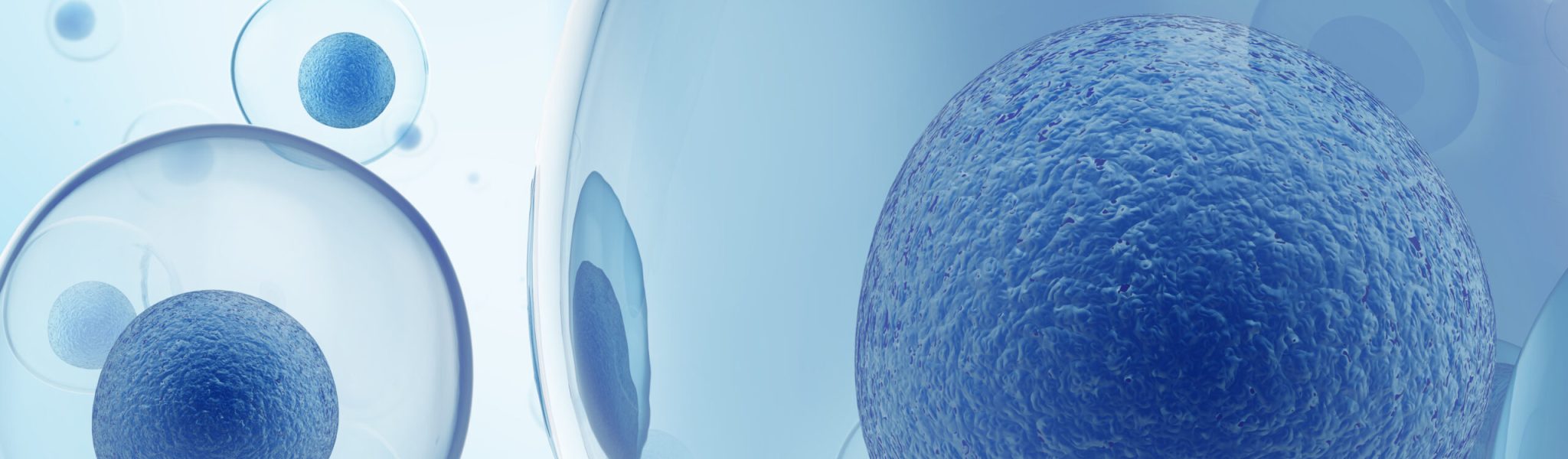 Blue,Cells,Under,Microscope.,Life,And,Biology,,Medicine,Scientific,,Molecular Blue,Cells,Under,Microscope.,Life,And,Biology,,Medicine,Scientific,,Molecular
